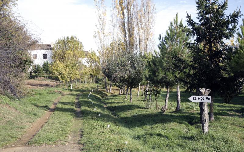 Molino de Santa Cruz de Boedo