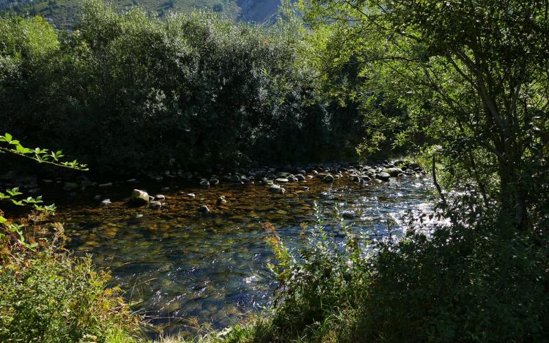 Curso del río Carrión Senda de los Pescadores, Velilla del Río Carrión