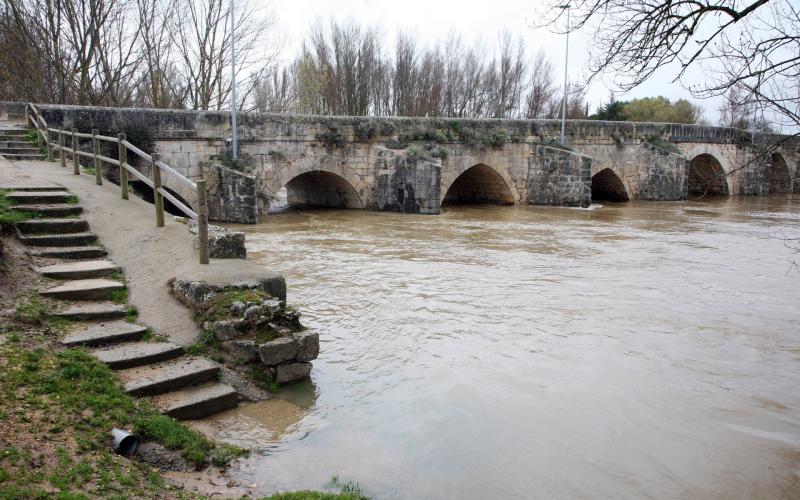 Puente de nueve arcos sobre el Pisuerga, Tariego de Cerrato