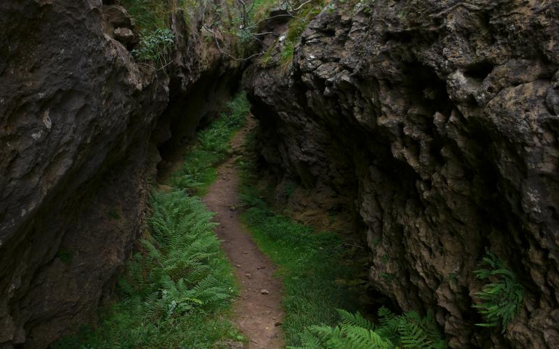 Interesante calleja de las Tuerces, Villaescusa de las Torres