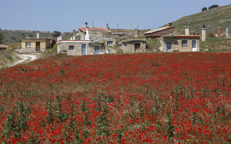 Panorámica de las bodegas de Villalaco