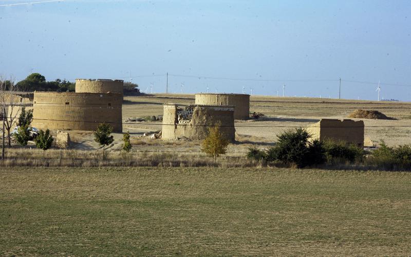 Palomares en Villamartín de Campos