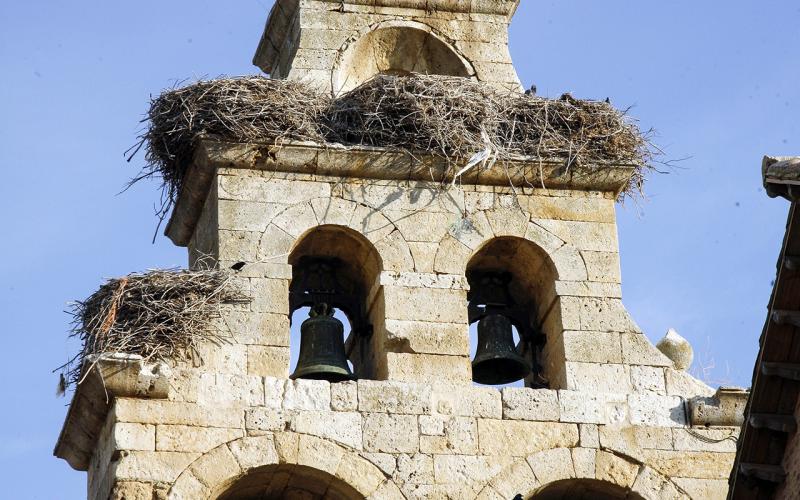 Espadaña iglesia de San Salvador en Villamartín de Campos