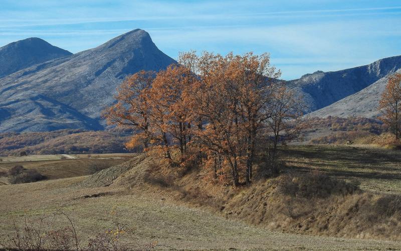 Panorámica de Villanueva de la Peña